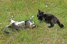 IMG_0091 v (1).webp