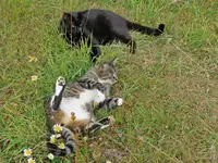 IMG_0094 v (2).webp