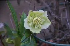 DSC09616 (2).webp