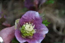 DSC09617 (2).webp