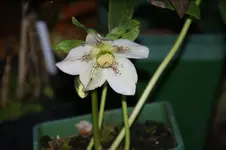 DSC09621.webp