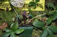 DSC09623 (2).webp