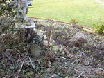 DSC01544.JPG