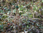 DSC01545.JPG