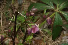DSC09629.JPG