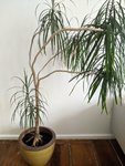 PXL_20210228_092507215.jpg