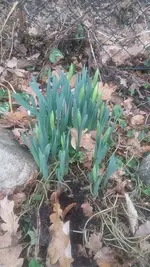 20210228_133538.webp