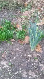 20210228_133522.webp