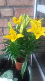 20210228_101112.webp