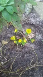 20210228_101055.webp