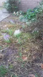 20210228_101042.webp