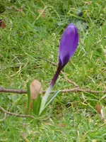 P1020809.webp