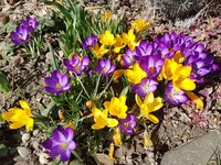 20210227_123151.webp
