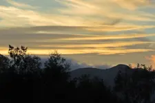 IMG_0594 v (2).webp