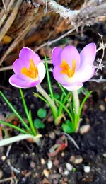 20210227_202025.webp