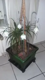 20201226_211014.jpg