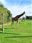 IMG_20200913_154254_3.jpg