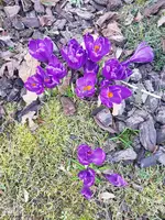 20210302_163705.webp