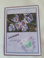 Frühling.webp