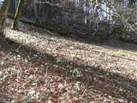 DSCF2906.JPG