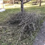 IMG_7365.JPG