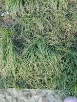 IMG_20210225_164959.webp IMG_20210225_164959.webp