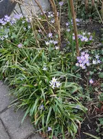 IMG_20210303_125849.webp