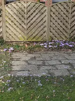 IMG_20210303_125935.webp