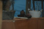 DSC09636.JPG
