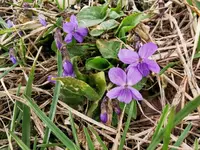 IMG_20210304_160325.webp IMG_20210304_160325.webp