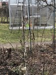 IMG_7389.JPG
