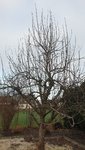 20210305_082707.jpg