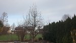 20210305_082655.jpg