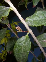 05_03_2021 (14).webp