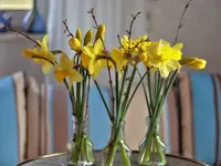 image001.webp