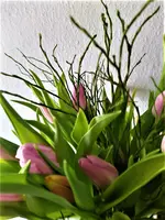 IMG_20210209_123541_3.jpg IMG_20210209_123541_3.jpg