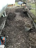 2021-02-22 Gastank Götterbaumplantage2.webp