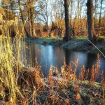 IMG_20210306_0724188-01.webp