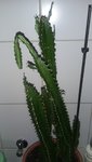 20210306_124804.jpg