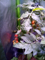 IMG_20210307_121106.webp