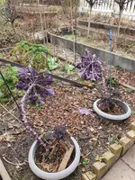 20210307_142338.webp
