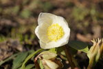 DSC00359.JPG