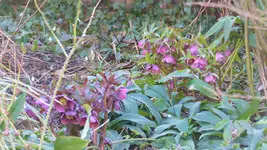 P1270252 (2).webp