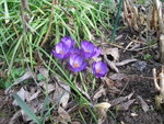 IMG_7413.JPG