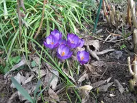 IMG_7413.webp