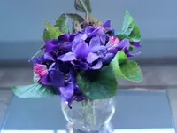 image001.webp