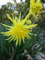 P1120140.webp
