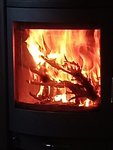 IMG_20201024_161424.jpg