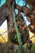 IMG_20210308_1609132-01.webp