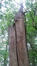 20190517_141716.webp